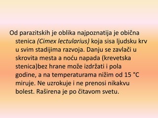 Od parazitskih je oblika najpoznatija je obična
stenica (Cimex lectularius) koja sisa ljudsku krv
u svim stadijima razvoja. Danju se zavlači u
skrovita mesta a nodu napada (krevetska
stenica)bez hrane može izdržati i pola
godine, a na temperaturama nižim od 15 °C
miruje. Ne uzrokuje i ne prenosi nikakvu
bolest. Raširena je po čitavom svetu.
 