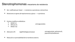 Stenotrophomonas mecanismo de resistencia
● Qnr: codificado por Smqnr ---> resistencia a quinolonas y tetraciclinas
● Mutaciones en genes de topoisomerasa y girasa ----> quinolonas
● Enzimas modifican antibióticos
○ AAC(6´)-Iz
○ APH (3´)-IIc
○ AAC(6´)-Iac
aminoglucósidos
● Alteración LPS SpgM (fosfoglucomutasa) aminoglucósido, polimixina B,
piperacilina/tazobactam
● Reducción en permeabilidad de la membrana externa
 