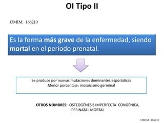 OI Tipo II 
OMIM: 166210 
Es la forma más grave de la enfermedad, siendo 
mortal en el período prenatal. 
Se produce por nuevas mutaciones dominantes esporádicas 
Menor porcentaje: mosaicismo germinal 
OTROS NOMBRES: OSTEOGÉNESIS IMPERFECTA CONGÉNICA, 
PERINATAL MORTAL 
OMIM: 166210 
 