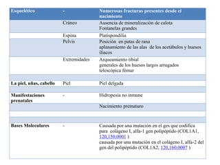 Esquelético - Numerosas fracturas presentes desde el 
nacimiento 
Cráneo Ausencia de mineralización de calota 
Fontanelas grandes 
Espina Platispondilia 
Pelvis Posición en patas de rana 
aplanamiento de las alas de los acetábulos y huesos 
iliacos 
Extremidades Arqueamiento tibial 
generales de los huesos largos arrugados 
telescópica fémur 
La piel, uñas, cabello Piel Piel delgada 
Manifestaciones 
prenatales 
- Hidropesía no inmune 
Nacimiento prematuro 
Bases Moleculares - Causada por una mutación en el ges que codifica 
para colágeno I, alfa-1 gen polipéptido (COL1A1, 
120,150.0001 ) 
causada por una mutación en el colágeno I, alfa-2 del 
gen del polipéptido (COL1A2, 120,160.0007 ) 
 