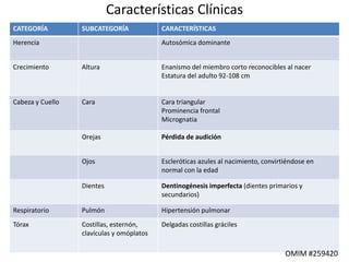 Características Clínicas 
CATEGORÍA SUBCATEGORÍA CARACTERÍSTICAS 
Herencia Autosómica dominante 
Crecimiento Altura Enanismo del miembro corto reconocibles al nacer 
Estatura del adulto 92-108 cm 
Cabeza y Cuello Cara Cara triangular 
Prominencia frontal 
Micrognatia 
Orejas Pérdida de audición 
Ojos Escleróticas azules al nacimiento, convirtiéndose en 
normal con la edad 
Dientes Dentinogénesis imperfecta (dientes primarios y 
secundarios) 
Respiratorio Pulmón Hipertensión pulmonar 
Tórax Costillas, esternón, 
clavículas y omóplatos 
Delgadas costillas gráciles 
OMIM #259420 
 