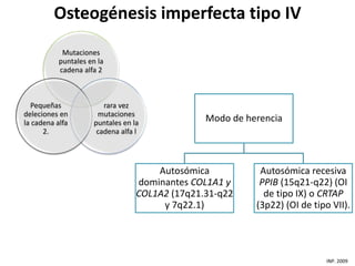Osteogénesis imperfecta tipo IV 
Mutaciones 
puntales en la 
cadena alfa 2 
rara vez 
mutaciones 
puntales en la 
cadena alfa l 
Pequeñas 
deleciones en 
la cadena alfa 
2. 
INP. 2009 
Modo de herencia 
Autosómica 
dominantes COL1A1 y 
COL1A2 (17q21.31-q22 
y 7q22.1) 
Autosómica recesiva 
PPIB (15q21-q22) (OI 
de tipo IX) o CRTAP 
(3p22) (OI de tipo VII). 
 