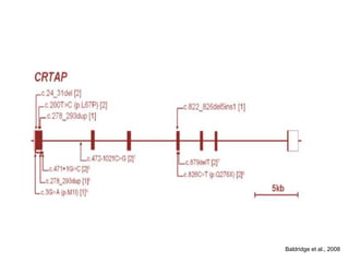 Baldridge et al., 2008 
 