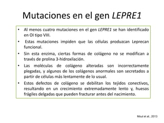 Mutaciones en el gen LEPRE1 
• Al menos cuatro mutaciones en el gen LEPRE1 se han identificado 
en OI tipo VIII. 
• Estas mutaciones impiden que las células produzcan Leprecan 
funcional. 
• Sin esta enzima, ciertas formas de colágeno no se modifican a 
través de prolina 3-hidroxilación. 
• Las moléculas de colágeno alteradas son incorrectamente 
plegadas, y algunos de los colágenos anormales son secretados a 
partir de células más lentamente de lo usual. 
• Estos defectos de colágeno se debilitan los tejidos conectivos, 
resultando en un crecimiento extremadamente lento y, huesos 
frágiles delgadas que pueden fracturar antes del nacimiento. 
Moul et al., 2013 
 