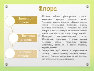 Північно -
степова
Південно-
степова
Середньо -
степова
1. Підзона зайнята різнотравним степом:
тюльпани, крокуси, гіацинти, адоніс
(горицвіт), степові півники і фіалки, ковила,
півонії вузьколистої (воронця), шавлії,
волошки, конюшини. З середини літа степ
вигорає і життя завмирає до перших осінніх
дощів, коли з’являється зелена ковдра з мохів.
2. Поширені типчаково-ковилові степи.
Основними рослинами є злаки: ковила
Лессінга, ковила українська, типчак
(костриця), стоколос, а також гвоздика,
деревій, шавлія.
3. Формуються сухі степи з переважанням
полину, солянки, житняку, типчака, ковили,
кермеку. Рослини утворюють окремі острівці,
що чергуються з голими пісками.
 