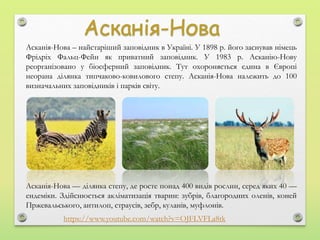 Асканія-Нова – найстаріший заповідник в Україні. У 1898 р. його заснував німець
Фрідріх Фальц-Фейн як приватний заповідник. У 1983 р. Асканію-Нову
реорганізовано у біосферний заповідник. Тут охороняється єдина в Європі
неорана ділянка типчаково-ковилового степу. Асканія-Нова належить до 100
визначальних заповідників і парків світу.
https://www.youtube.com/watch?v=OJFLVFLa8tk
Асканія-Нова — ділянка степу, де росте понад 400 видів рослин, серед яких 40 —
ендеміки. Здійснюється акліматизація тварин: зубрів, благородних оленів, коней
Пржевальського, антилоп, страусів, зебр, куланів, муфлонів.
 