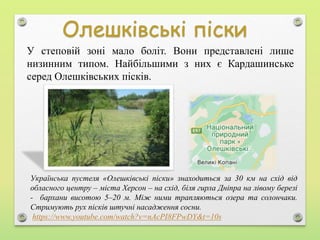 У степовій зоні мало боліт. Вони представлені лише
низинним типом. Найбільшими з них є Кардашинське
серед Олешківських пісків.
Українська пустеля «Олешківські піски» знаходиться за 30 км на схід від
обласного центру – міста Херсон – на схід, біля гирла Дніпра на лівому березі
- бархани висотою 5–20 м. Між ними трапляються озера та солончаки.
Стримують рух пісків штучні насадження сосни.
https://www.youtube.com/watch?v=nAcPI8FPwDY&t=10s
 