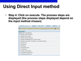 Using Direct Input method Step 4: Click on execute. The process steps are displayed (the process steps displayed depend on the input method chosen) 