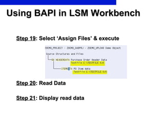 Using BAPI in LSM Workbench <ul><li>Step 19 : Select ‘Assign Files’ & execute </li></ul><ul><li>Step 20 : Read Data </li><...