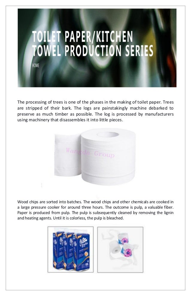 StepbyStep Method of Making Toilet Paper.pdf