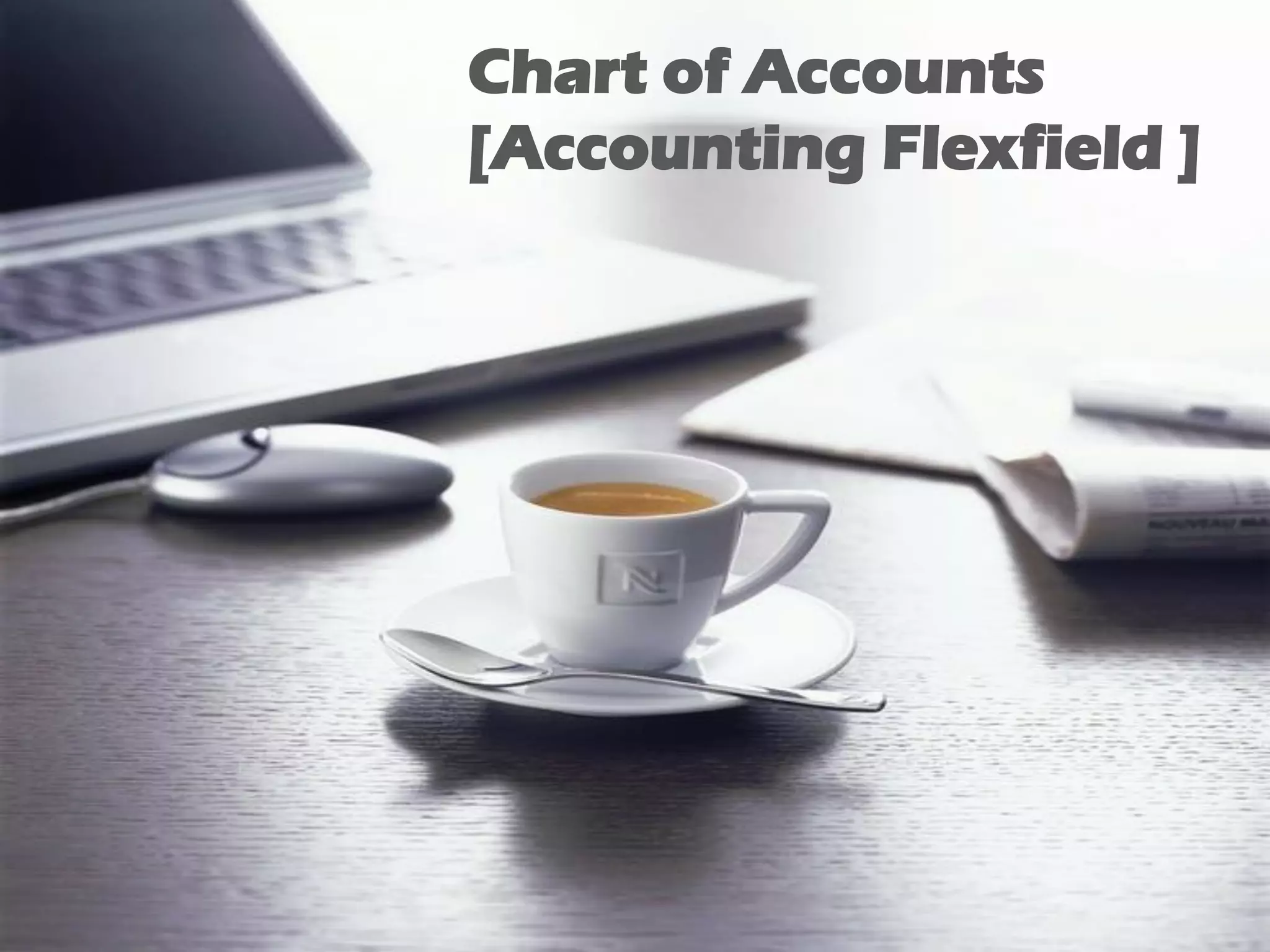 Chart of Accounts
[Accounting Flexfield ]

6

 