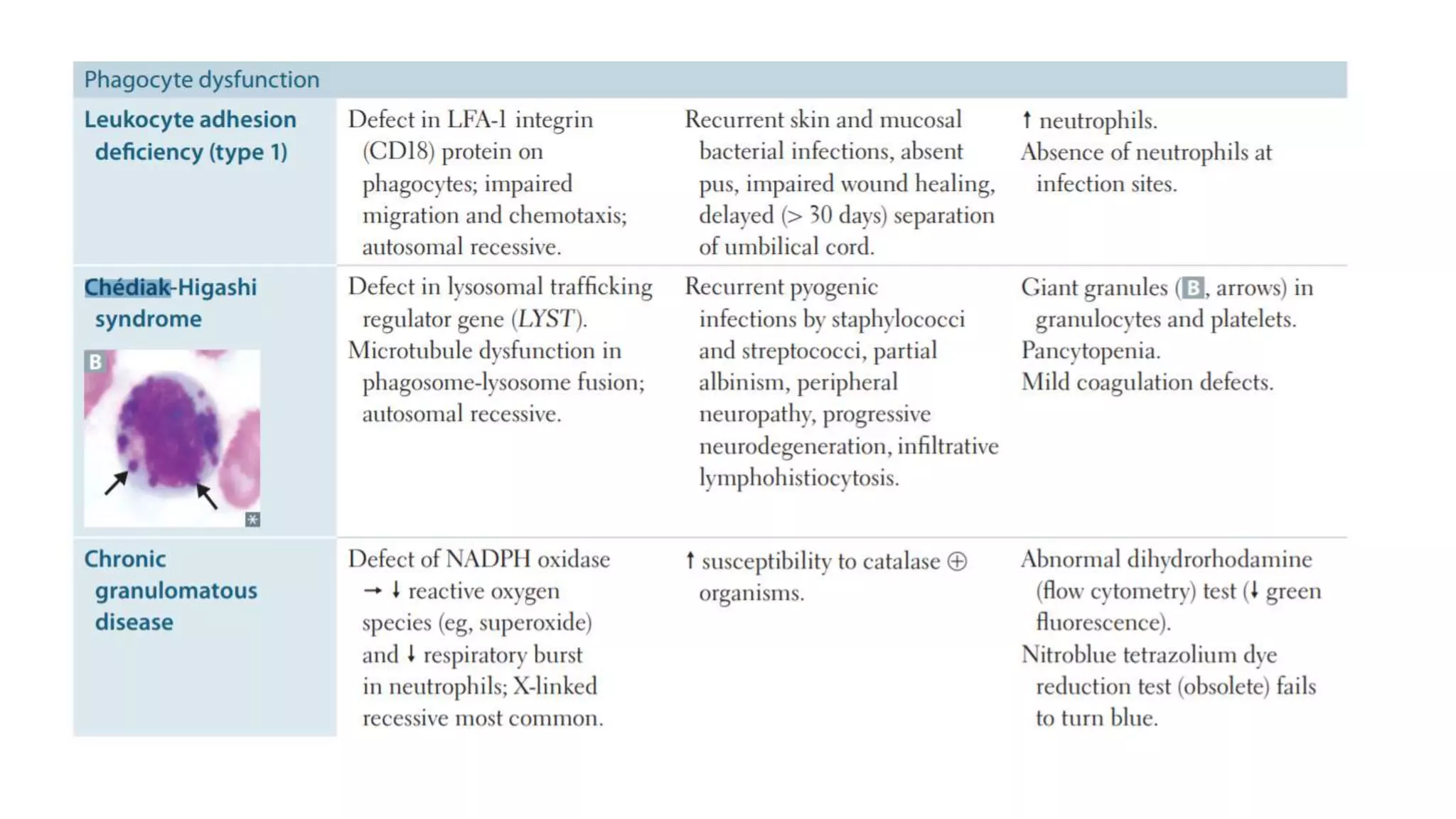 Chediak Higashi Syndrome Mnemonic