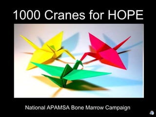 1000 Cranes for HOPE National APAMSA Bone Marrow Campaign 