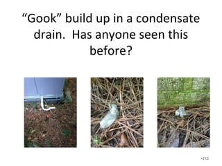 My favorite ductless mini-split
picture
•212
 