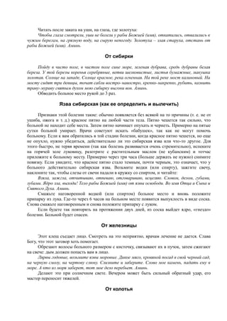 Читать после заката на уши, на глаза, где золотуха:
Чтобы глаза смотрели, уши не болели у рабы Божией (имя), откатились, отвалились к
чужим берегам, на грязную воду, на сырую непогоду. Золотуха – злая старуха, отстань от
рабы Божией (имя). Аминь.
От сибирки
Пойду в чисто поле, в чистом поле сине море, зеленая дубрава, средь дубравы белая
береза. У той березы коренья серебряные, ветви шелковистые, листья бумажные, макушка
золотая. Солнце на западе, Солнце красное, река огненная. На той реке мост калиновый. На
мосту сидят три девицы, точат сабли востро-навостро, крепко-накрепко, рубить, казнить
траву-мураву святым духом мою сибирку выгони вон. Аминь.
Обводить больное место рукой до 3 раз.
Язва сибирская (как ее определить и вылечить)
Признаки этой болезни такие: обычно появляется без всякой на то причины (т. е. не от
ушиба, ожога и т. д.) красное пятно на любой части тела. Пятно чешется так сильно, что
больной не находит себе места. Затем пятно начинает опухать и чернеть. Примерно на пятые
сутки больной умирает. Врачи советуют искать «бабушек», так как не могут помочь
больному. Если к вам обратились в той стадии болезни, когда красное пятно чешется, но еще
не опухло, нужно убедиться, действительно ли это сибирская язва или что-то другое. Для
этого быстро, не теряя времени (так как болезнь развивается очень стремительно), испеките
на горячей золе луковицу, разотрите с растительным маслом (не кубанским) и тотчас
приложите к больному месту. Примерно через три часа (больше держать не нужно) снимите
повязку. Если увидите, что красное пятно стало темным, почти черным, это означает, что у
больного действительно сибирская язва. Возьмите водки (или спирту), зажгите свечу,
наклоните так, чтобы слезы от свечи падали в кружку со спиртом, и читайте:
Взяла, зажгла, отчитываю, отпеваю, отговариваю, исцеляю. Словом, делом, губами,
зубами. Ядро зла, выходи! Тело рабы Божией (имя) от язвы освободи. Во имя Отца и Сына и
Святого Духа. Аминь.
Смажьте наговоренной водкой (или спиртом) больное место и вновь положите
припарку из лука. Где-то через 6 часов на больном месте появится выпуклость в виде соска.
Снова смажьте наговоренным и снова положите припарку с луком.
Если будете так повторять на протяжении двух дней, из соска выйдет ядро, «гнездо»
болезни. Больной будет спасен.
От железницы
Этот клещ съедает лицо. Смотреть на это неприятно, врачам лечение не дается. Слава
Богу, что этот заговор хоть помогает.
Обрезают волосы больного размером с кисточку, связывают их в пучок, затем сжигают
на свече: дым должен попасть вам в лицо.
Лярвы годовые, возьмите язвы моровые. Дикое мясо, кровяной посад в свой черный сад,
на черную смолу, на чертову слюну. Слизните и заберите. Слово мое камень, падать ему в
море. А кто из моря заберет, тот мое дело перебьет. Аминь.
Делают это при солнечном свете. Вечером может быть сильный обратный удар, его
мастер переносит тяжелей.
От колотья
 