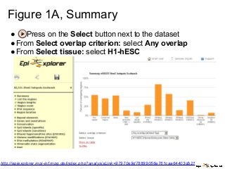 Figure 1A, Summary
● Press on the Select button next to the dataset
●From Select overlap criterion: select Any overlap
●From Select tissue: select H1-hESC
http://epiexplorer.mpi-inf.mpg.de/index.php?analysisLink=97970e9d78899056e761caa64403db21
 