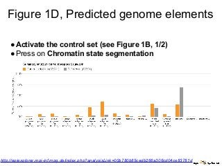 Figure 1D, Predicted genome elements
●Activate the control set (see Figure 1B, 1/2)
●Press on Chromatin state segmentation
http://epiexplorer.mpi-inf.mpg.de/index.php?analysisLink=00b780b85cedb266a306cd04ce83781d
 