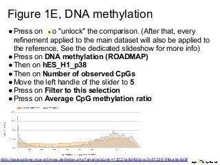 Figure 1E, DNA methylation
●Press on to "unlock" the comparison. (After that, every
refinement applied to the main dataset will also be applied to
the reference. See the dedicated slideshow for more info)
●Press on DNA methylation (ROADMAP)
●Then on hES_H1_p38
●Then on Number of observed CpGs
●Move the left handle of the slider to 5
●Press on Filter to this selection
●Press on Average CpG methylation ratio
http://epiexplorer.mpi-inf.mpg.de/index.php?analysisLink=13221a5d490ccc3c572281f4ba5e5d9f
 