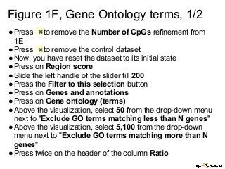 Figure 1F, Gene Ontology terms, 1/2
●Press to remove the Number of CpGs refinement from
1E
●Press to remove the control dataset
●Now, you have reset the dataset to its initial state
●Press on Region score
●Slide the left handle of the slider till 200
●Press the Filter to this selection button
●Press on Genes and annotations
●Press on Gene ontology (terms)
●Above the visualization, select 50 from the drop-down menu
next to "Exclude GO terms matching less than N genes"
●Above the visualization, select 5,100 from the drop-down
menu next to "Exclude GO terms matching more than N
genes"
●Press twice on the header of the column Ratio
 
