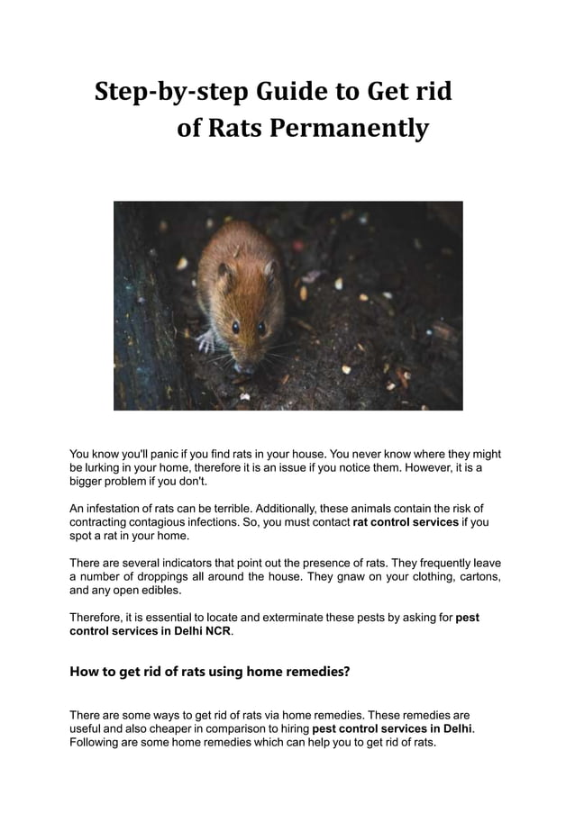 Which smell do rats hate the most?