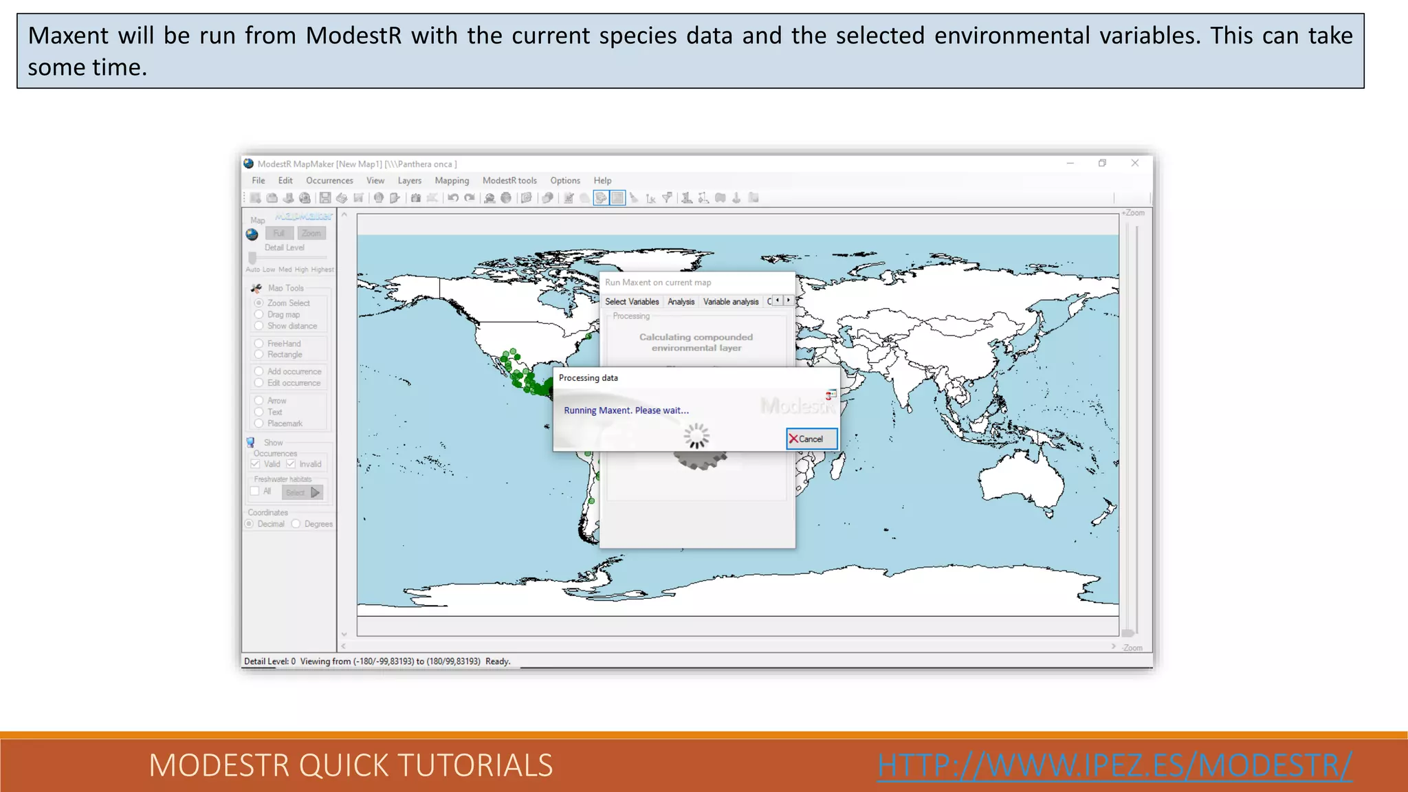MODESTR QUICK TUTORIALS HTTP://WWW.IPEZ.ES/MODESTR/
Maxent will be run from ModestR with the current species data and the selected environmental variables. This can take
some time.
 