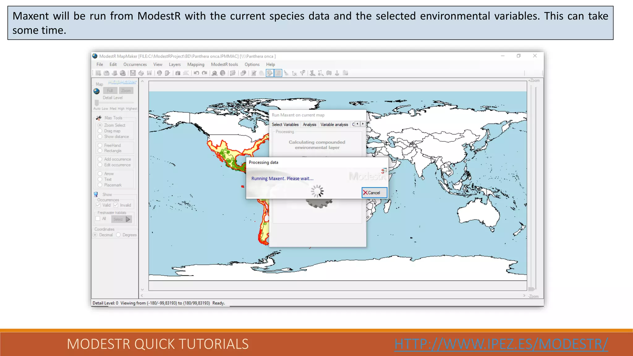 MODESTR QUICK TUTORIALS HTTP://WWW.IPEZ.ES/MODESTR/
Maxent will be run from ModestR with the current species data and the selected environmental variables. This can take
some time.
 