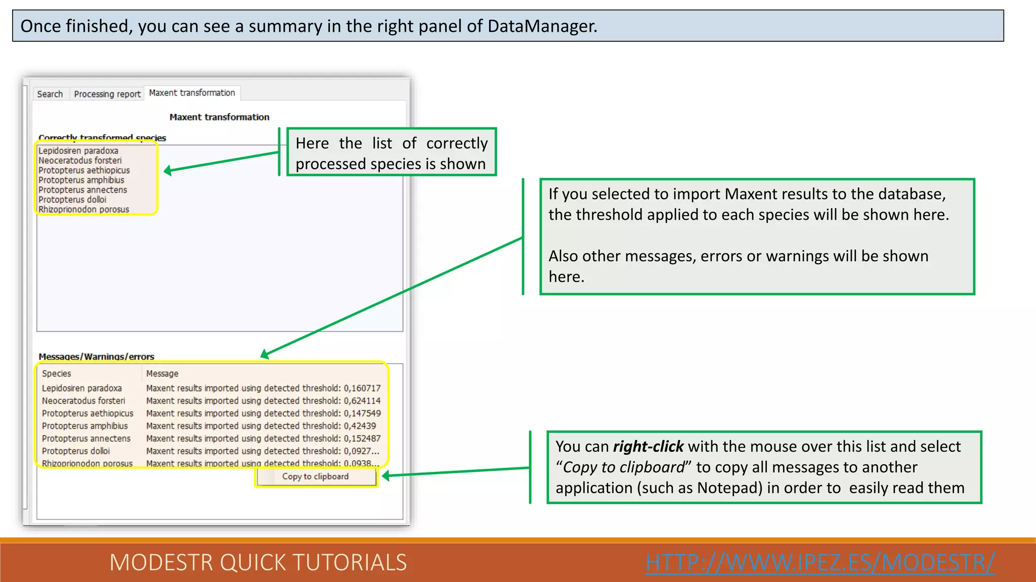 MODESTR QUICK TUTORIALS HTTP://WWW.IPEZ.ES/MODESTR/
Once finished, you can see a summary in the right panel of DataManager.
Here the list of correctly
processed species is shown
If you selected to import Maxent results to the database,
the threshold applied to each species will be shown here.
Also other messages, errors or warnings will be shown
here.
You can right-click with the mouse over this list and select
“Copy to clipboard” to copy all messages to another
application (such as Notepad) in order to easily read them
 