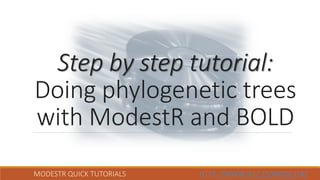 MODESTR QUICK TUTORIALS HTTP://WWW.IPEZ.ES/MODESTR/
Step by step tutorial:
Doing phylogenetic trees
with ModestR and BOLD
 