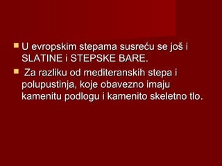 Stepe | PPT