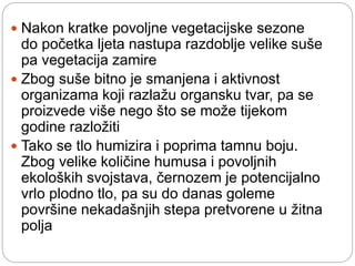  Nakon kratke povoljne vegetacijske sezone
do početka ljeta nastupa razdoblje velike suše
pa vegetacija zamire
 Zbog suše bitno je smanjena i aktivnost
organizama koji razlažu organsku tvar, pa se
proizvede više nego što se može tijekom
godine razložiti
 Tako se tlo humizira i poprima tamnu boju.
Zbog velike količine humusa i povoljnih
ekoloških svojstava, černozem je potencijalno
vrlo plodno tlo, pa su do danas goleme
površine nekadašnjih stepa pretvorene u žitna
polja
 