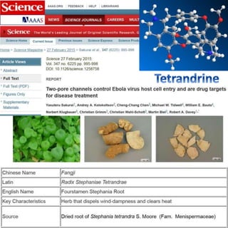 Ebola-treatment potential of Tetrandrine