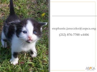 stephanie.janeczko@aspca.org
          (212) 876-7700 x4406




100
         sdj7@cornell.edu
 