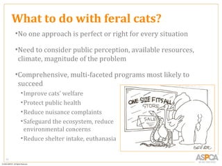 What to do with feral cats?
     •No one approach is perfect or right for every situation

     •Need to consider public perception, available resources,
      climate, magnitude of the problem

     •Comprehensive, multi-faceted programs most likely to
      succeed
      • Improve cats’ welfare
      • Protect public health
      • Reduce nuisance complaints
      • Safeguard the ecosystem, reduce
        environmental concerns
      • Reduce shelter intake, euthanasia


11
 