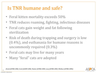 Is TNR humane and safe?
     • Feral kitten mortality exceeds 50%
     • TNR reduces roaming, fighting, infectious diseases
     • Feral cats gain weight and fat following
       sterilization
     • Risk of death during trapping and surgery is low
       (0.4%), and euthanasia for humane reasons is
       uncommonly required (0.3%)
     • Feral cats may live for many years
     • Many “feral” cats are adopted

     (Scott JAVMA 2002, Scott JAAWS 2002, Nutter JAVMA 2004, Levy JAVMA 2003, Wallace JAVMA 2006)
20
 