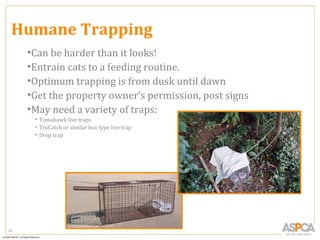 Humane Trapping
     •Can be harder than it looks!
     •Entrain cats to a feeding routine.
     •Optimum trapping is from dusk until dawn
     •Get the property owner’s permission, post signs
     •May need a variety of traps:
      • Tomahawk live traps
      • TruCatch or similar box type live trap
      • Drop trap




22
 