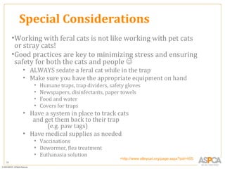 Special Considerations
     •Working with feral cats is not like working with pet cats
      or stray cats!
     •Good practices are key to minimizing stress and ensuring
      safety for both the cats and people 
        • ALWAYS sedate a feral cat while in the trap
        • Make sure you have the appropriate equipment on hand
            •   Humane traps, trap dividers, safety gloves
            •   Newspapers, disinfectants, paper towels
            •   Food and water
            •   Covers for traps
        • Have a system in place to track cats
           and get them back to their trap
                (e.g. paw tags)
        • Have medical supplies as needed
            • Vaccinations
            • Dewormer, flea treatment
            • Euthanasia solution
                                                 •http://www.alleycat.org/page.aspx?pid=455
39
 