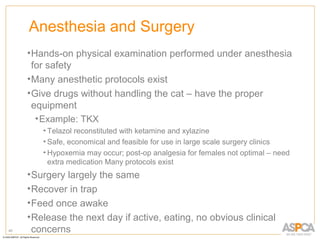 Anesthesia and Surgery
     • Hands-on physical examination performed under anesthesia
       for safety
     • Many anesthetic protocols exist
     • Give drugs without handling the cat – have the proper
       equipment
        • Example: TKX
        • Telazol reconstituted with ketamine and xylazine
        • Safe, economical and feasible for use in large scale surgery clinics
        • Hypoxemia may occur; post-op analgesia for females not optimal – need
          extra medication Many protocols exist
     • Surgery largely the same
     • Recover in trap
     • Feed once awake
     • Release the next day if active, eating, no obvious clinical
40     concerns
 