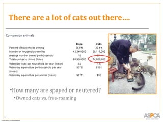 There are a lot of cats out there….




    •How many are spayed or neutered?
     • Owned cats vs. free-roaming


5
 