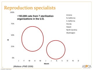 Reproduction specialists
         100%
                                                              Arizona
                ~103,000 cats from 7 sterilization
                                                              N. California
                organizations in the U.S.
                                                              S. California
         75%                                                  Florida
                                                              Hawaii
                                                              North Carolina
                                                              Washington
         50%
     n
     P
     e
     a
     g
     y
     r
     t




         25%




          0%
                 J    F   M       A   M    J      J   A   S   O         N      D
                                          Month
6
            (Wallace JFMS 2006)
 