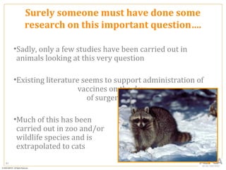 Surely someone must have done some
        research on this important question….

     •Sadly, only a few studies have been carried out in
      animals looking at this very question

     •Existing literature seems to support administration of
                         vaccines on the day
                           of surgery

     •Much of this has been
      carried out in zoo and/or
      wildlife species and is
      extrapolated to cats
61
 