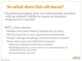 So what does this all mean?
     •Anesthesia/surgery does not substantially interfere
      with an animal’s ability to mount an immune
      response to a vaccine:

     •BUT, a few caveats:
      •Studies have been limited, looked only at titers
      •Giving a vaccine is not a guarantee of immunity.
      •Proper storage, handling, administration is a must!
      •Even still, some cats will fail to respond
       • Maternal antibody interference in kittens
       • Underlying disease, severe stress, or administration of
         medication (e.g. steroids)
       • Overwhelming exposure

64
 