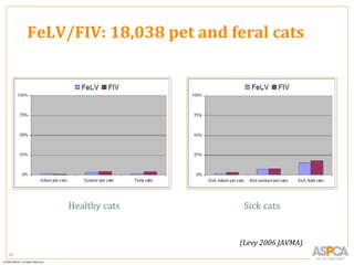 FeLV/FIV: 18,038 pet and feral cats




          Healthy cats          Sick cats


                               (Levy 2006 JAVMA)
67
 