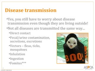 Disease transmission
     •Yes, you still have to worry about disease
      transmission even though they are living outside!
     •Not all diseases are transmitted the same way...
      •Direct contact
      •Fecal/urine contamination,
       secretions, excretions
      •Vectors – fleas, ticks,
       mosquitoes
      •Inhalation
      •Ingestion
      •Fomites***
71
 