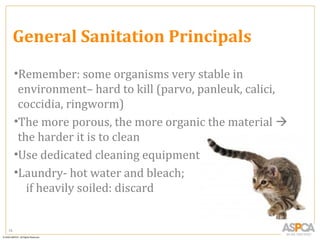 General Sanitation Principals
     •Remember: some organisms very stable in
      environment– hard to kill (parvo, panleuk, calici,
      coccidia, ringworm)
     •The more porous, the more organic the material 
      the harder it is to clean
     •Use dedicated cleaning equipment
     •Laundry- hot water and bleach;
        if heavily soiled: discard


74
 