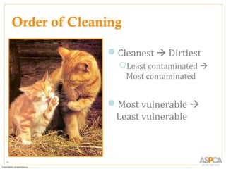 Order of Cleaning

                   Cleanest  Dirtiest
                     Least contaminated 
                      Most contaminated


                   Most vulnerable 
                    Least vulnerable



76
 