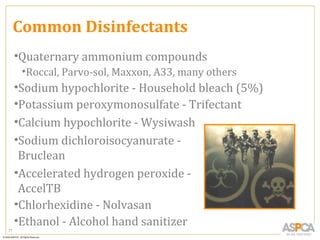 Common Disinfectants
     •Quaternary ammonium compounds
      •Roccal, Parvo-sol, Maxxon, A33, many others
     •Sodium hypochlorite - Household bleach (5%)
     •Potassium peroxymonosulfate - Trifectant
     •Calcium hypochlorite - Wysiwash
     •Sodium dichloroisocyanurate -
      Bruclean
     •Accelerated hydrogen peroxide -
      AccelTB
     •Chlorhexidine - Nolvasan
     •Ethanol - Alcohol hand sanitizer
77
 