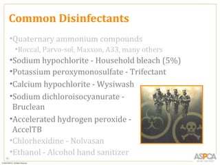 Common Disinfectants
     •Quaternary ammonium compounds
      •Roccal, Parvo-sol, Maxxon, A33, many others
     •Sodium hypochlorite - Household bleach (5%)
     •Potassium peroxymonosulfate - Trifectant
     •Calcium hypochlorite - Wysiwash
     •Sodium dichloroisocyanurate -
      Bruclean
     •Accelerated hydrogen peroxide -
      AccelTB
     •Chlorhexidine - Nolvasan
     •Ethanol - Alcohol hand sanitizer
78
 