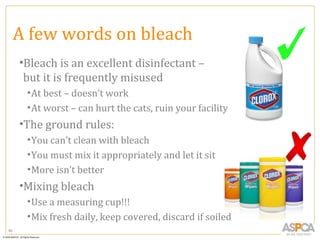 A few words on bleach
     •Bleach is an excellent disinfectant –
      but it is frequently misused
      • At best – doesn’t work
      • At worst – can hurt the cats, ruin your facility
     •The ground rules:
      • You can’t clean with bleach
      • You must mix it appropriately and let it sit
      • More isn’t better
     •Mixing bleach
      • Use a measuring cup!!!
      • Mix fresh daily, keep covered, discard if soiled
80
 