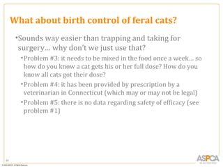 What about birth control of feral cats?
      •Sounds way easier than trapping and taking for
       surgery… why don’t we just use that?
       • Problem #3: it needs to be mixed in the food once a week… so
         how do you know a cat gets his or her full dose? How do you
         know all cats got their dose?
       • Problem #4: it has been provided by prescription by a
         veterinarian in Connecticut (which may or may not be legal)
       • Problem #5: there is no data regarding safety of efficacy (see
         problem #1)




88
 