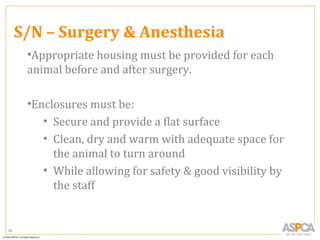 S/N – Surgery & Anesthesia
      •Appropriate housing must be provided for each
      animal before and after surgery.

      •Enclosures must be:
         • Secure and provide a flat surface
         • Clean, dry and warm with adequate space for
           the animal to turn around
         • While allowing for safety & good visibility by
           the staff


92
 